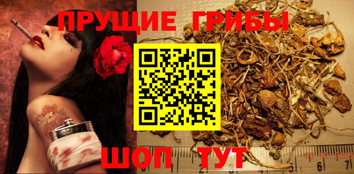 A PVP Медногорск